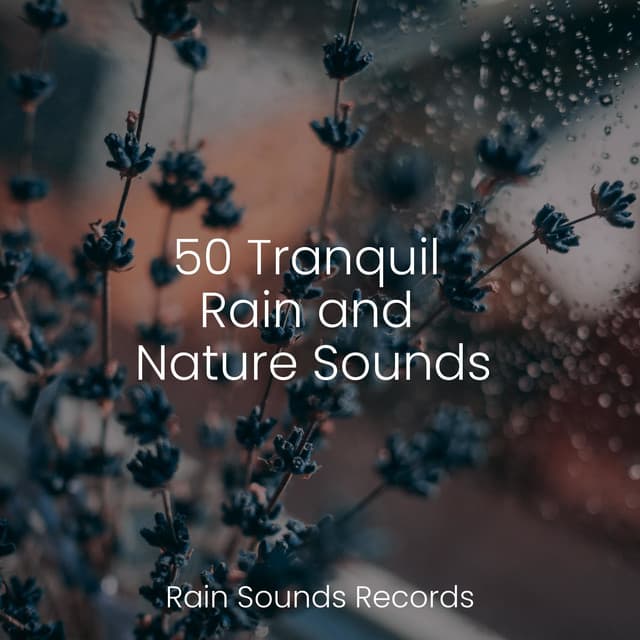 50 Tranquil Rain and Nature Sounds - Deep Sleep Relaxation