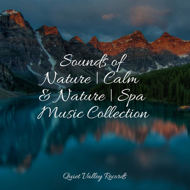 Sounds of Nature | Calm & Nature | Spa Music Collection - Spa Relaxation