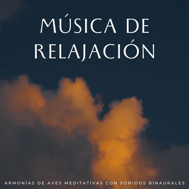 Música De Relajación: Armonías De Aves Meditativas Con Sonidos Binaurales - The Unexplainable Store