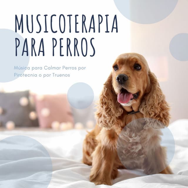 Musicoterapia para Perros: Música para Calmar Perros por Pirotecnia o por Truenos - Thiago Mascotas