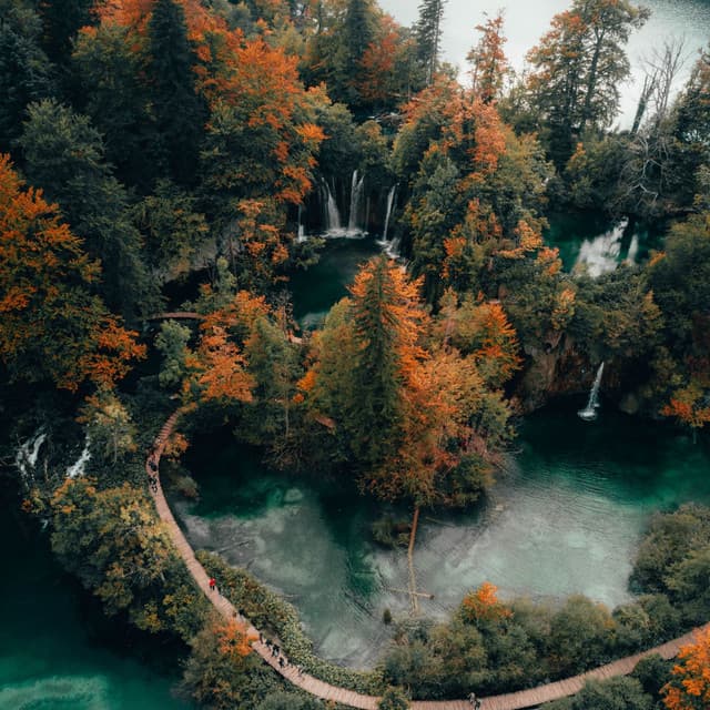 Relaxing Music for Meditation - Deep Sleep Relaxation