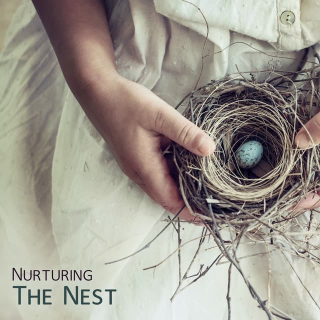 Nurturing The Nest: Soothing Music For Pregnancy - Hypnobirthing Music Company