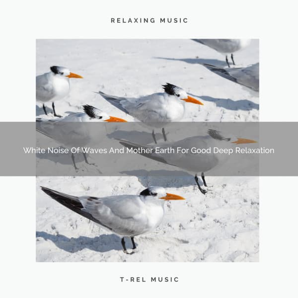 White Noise Of Waves And Mother Earth For Good Deep Relaxation - The Noise Project