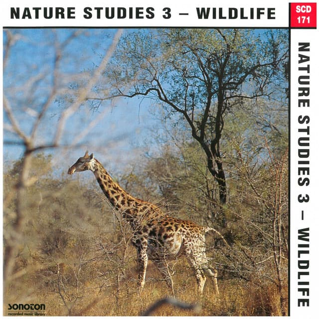 Nature Studies, Vol. 3: Wildlife - John Fox