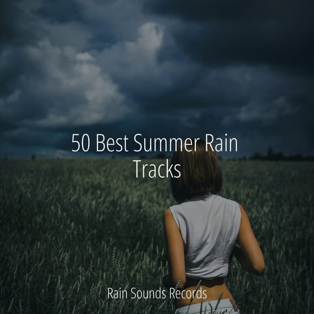 50 Best Summer Rain Tracks - Sons da natureza HD