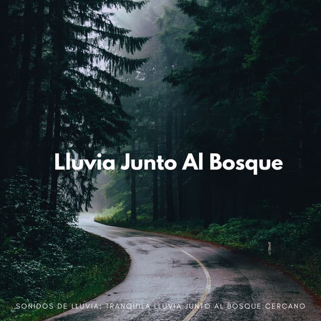 Sonidos De Lluvia: Tranquila Lluvia Junto Al Bosque Cercano - Frutas de lluvia