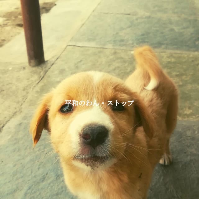 Musique pour Travailler Classiques