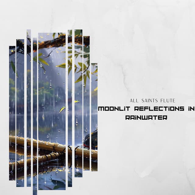 Moonlit Reflections in Rainwater: Mystical Flute Tunes Blending with Night's Crystal Tears - All Saints Flute