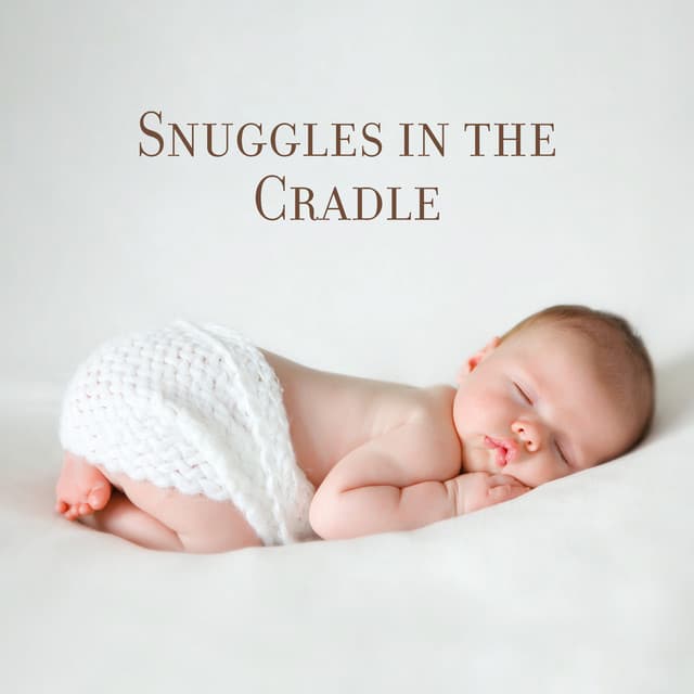 Snuggles in the Cradle - Blend in Bed Sleep Academy