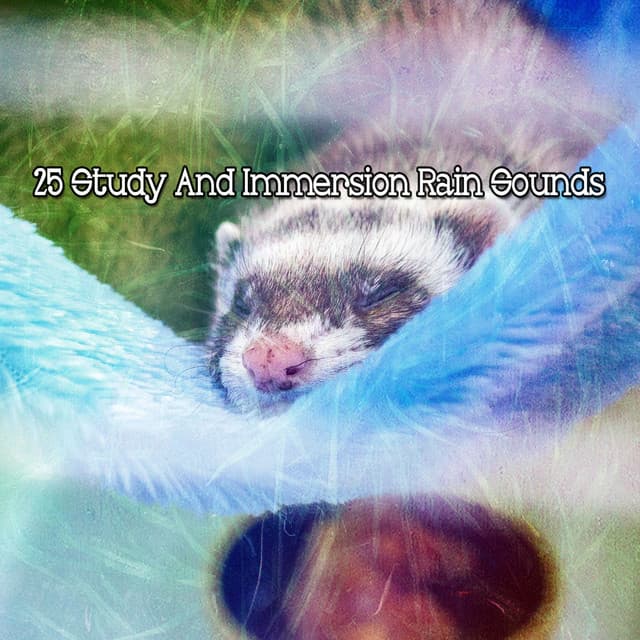 25 Study And Immersion Rain Sounds - Rain Atmospheres