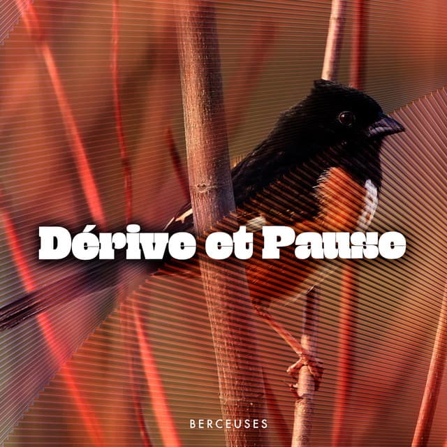 Dérive et Pause - Berceuses