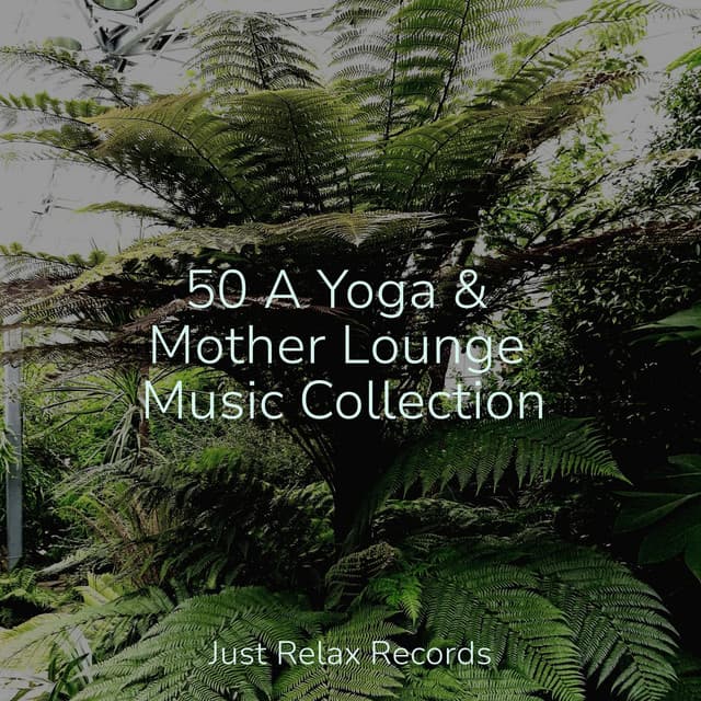 50 A Yoga & Mother Lounge Music Collection - Música relaxante