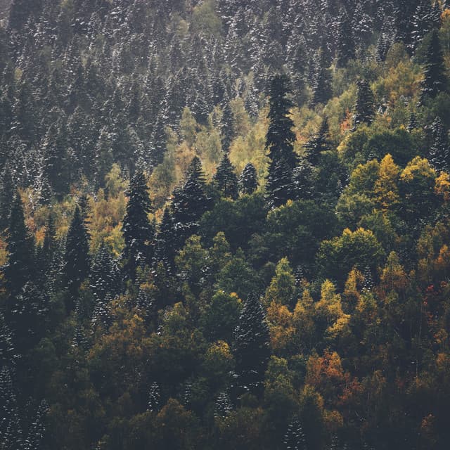 Música Relajante para Dormir - Música De Relajación Para Dormir Profundamente