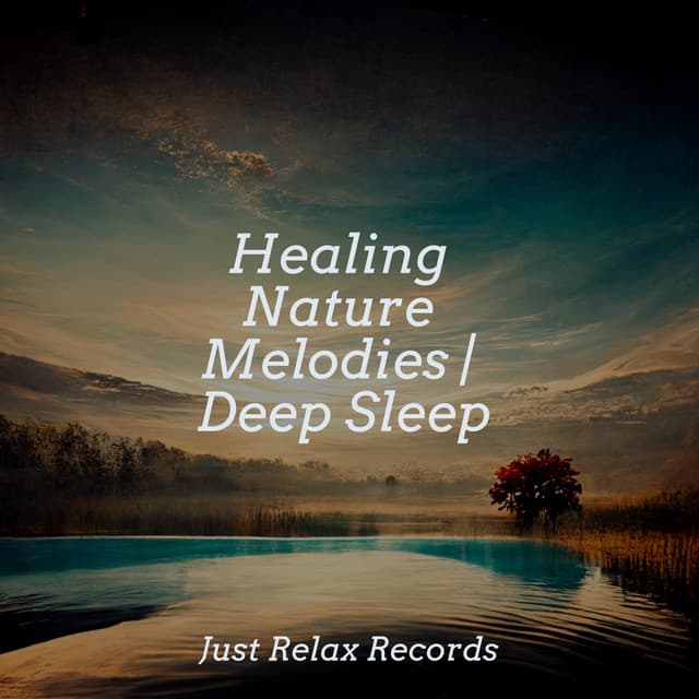 Healing Nature Melodies | Deep Sleep - Nature Sounds Nature Music