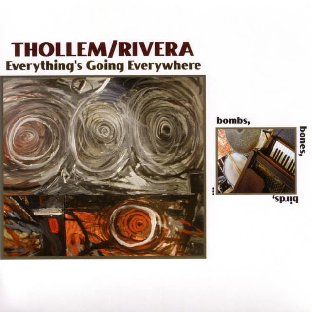 Everything's Going Everywhere - Thollem Mcdonas