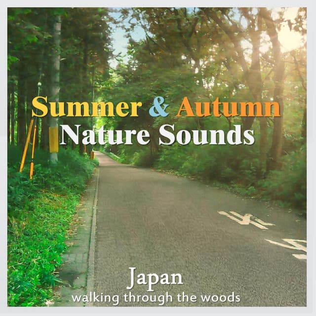 Summer & Autumn Nature Sounds: Japan - Walking Through the Woods - Auge Espiritual