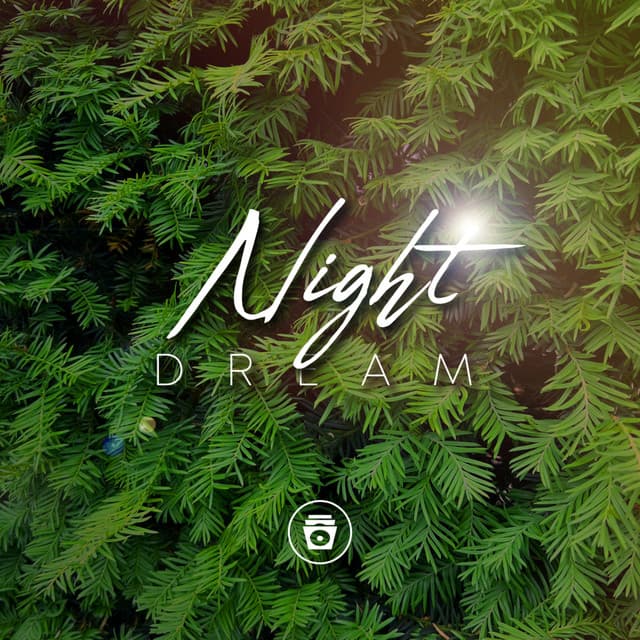 Night Dream - Soothing Sounds