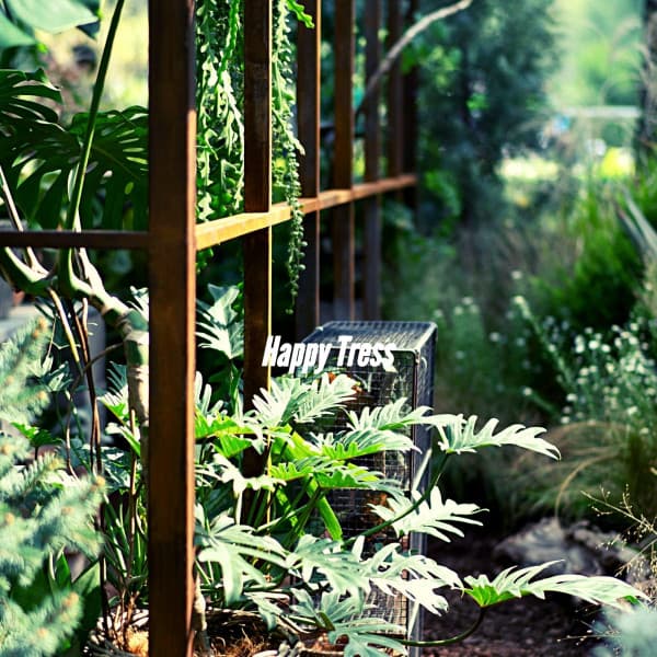 Happy Tress - Musik zum Kochen