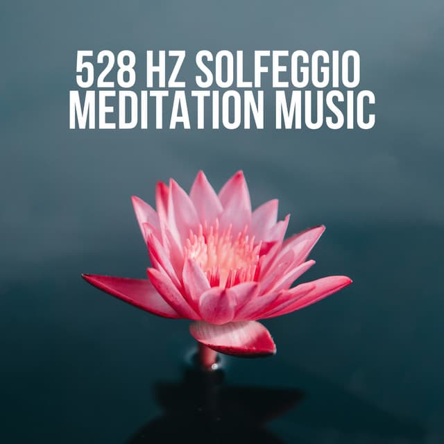 528 Hz Solfeggio Meditation Music - Solfeggio Frequencies for Meditation