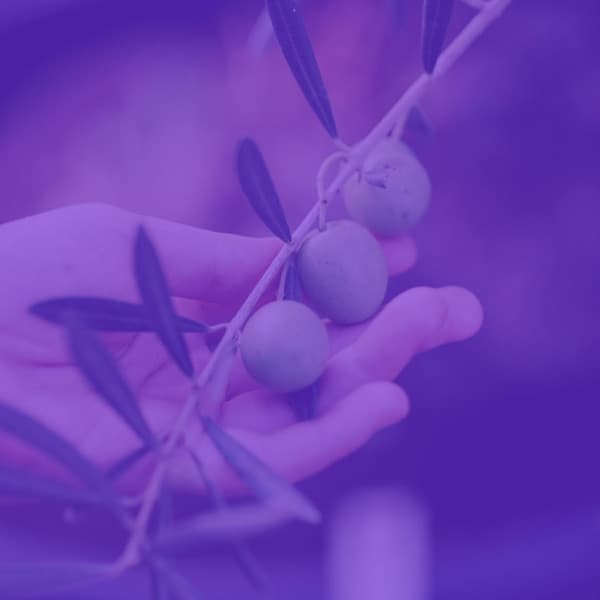 Music for Retail Greats