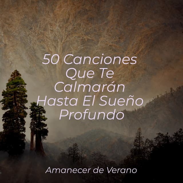 50 Canciones Que Te Calmarán Hasta El Sueño Profundo - Musica para Dormir 101