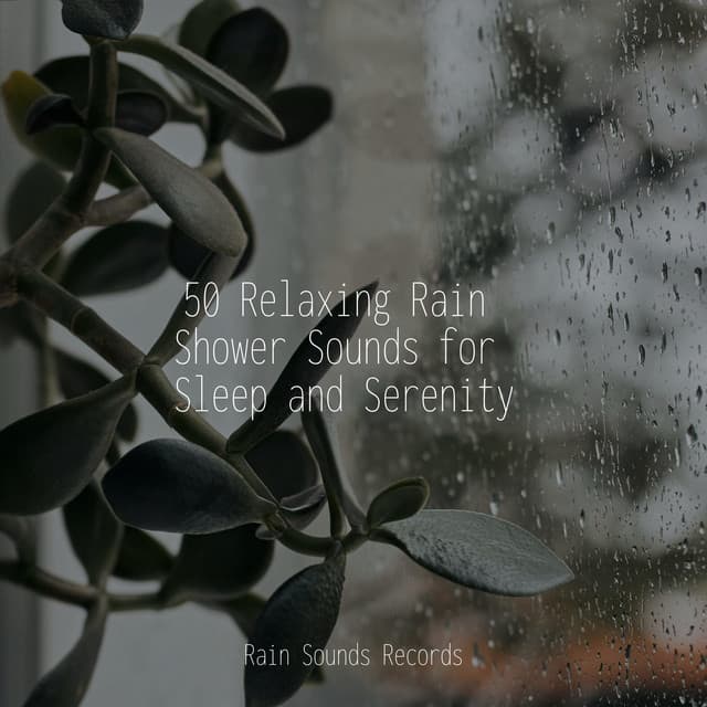 50 Relaxing Rain Shower Sounds for Sleep and Serenity - Guided Meditation