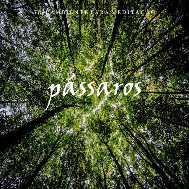 Som Ambiente para Meditação: Pássaros - Meditação Yoga