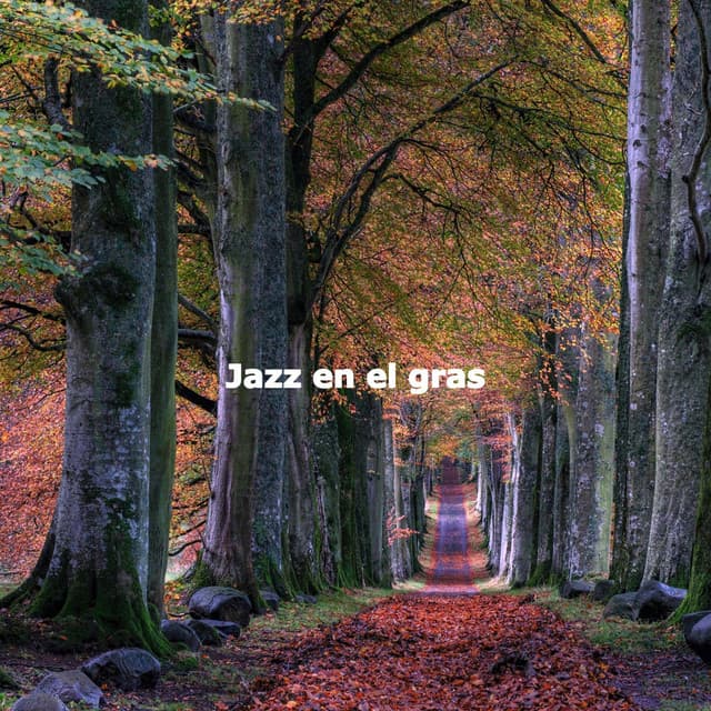 Jazz en el gras - Jazz Shades
