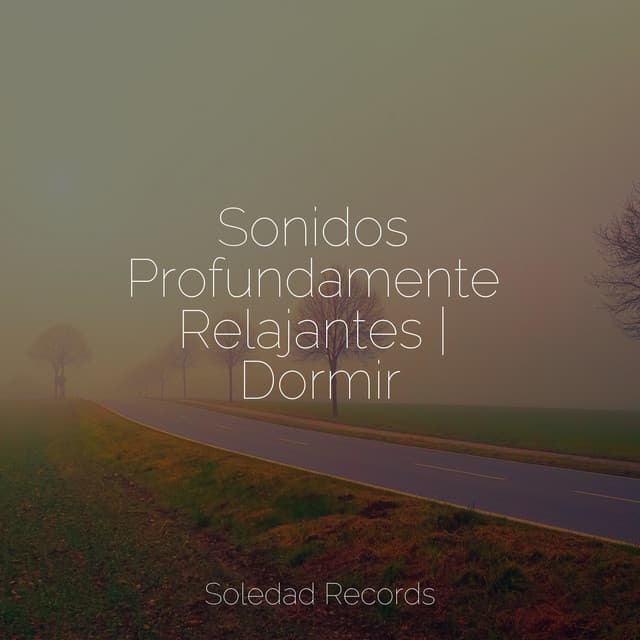 Sonidos Profundamente Relajantes | Dormir - Canciones de Cuna para Bebés Acadèmico