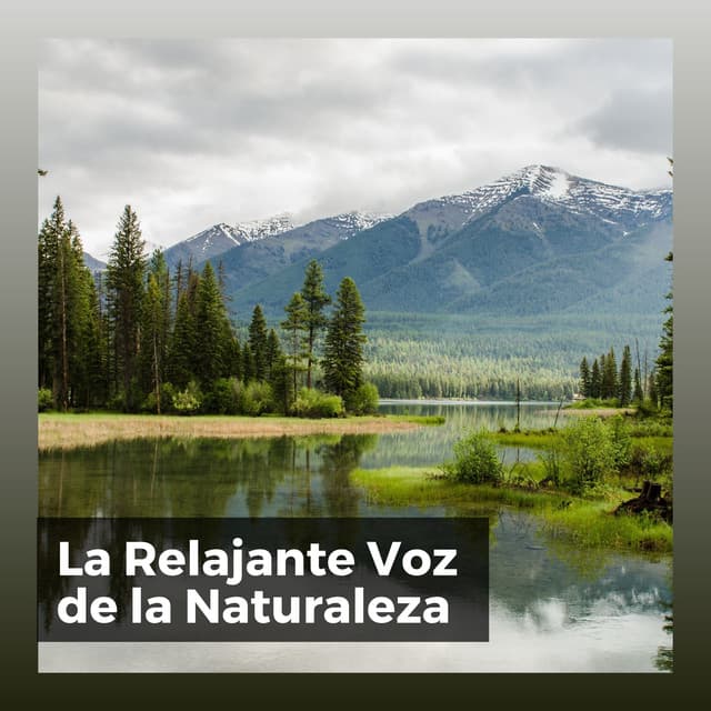 La Relajante Voz de la Naturaleza - Sonidos de la Naturaleza para Dormir