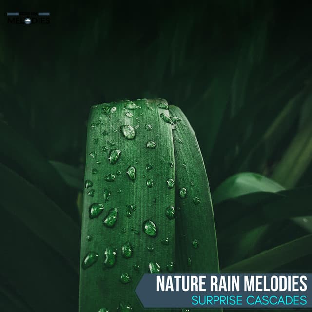 Nature Rain Melodies - Surprise Cascades - The Rain Library