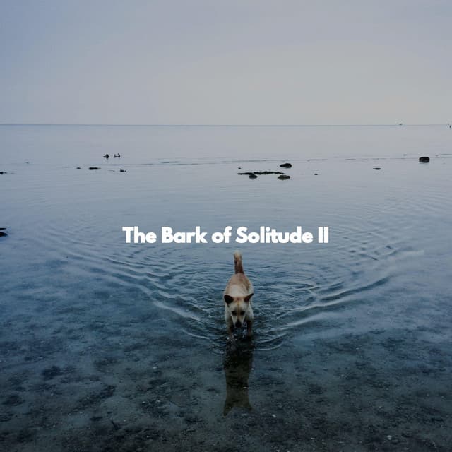 The Bark of Solitude II - Trabajar desde Casa Clásicos