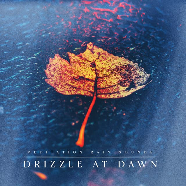 Drizzle at Dawn - Meditation Rain Sounds