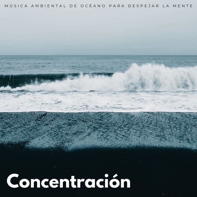 Concentración: Música Ambiental De Océano Para Despejar La Mente - Los SubOceaners
