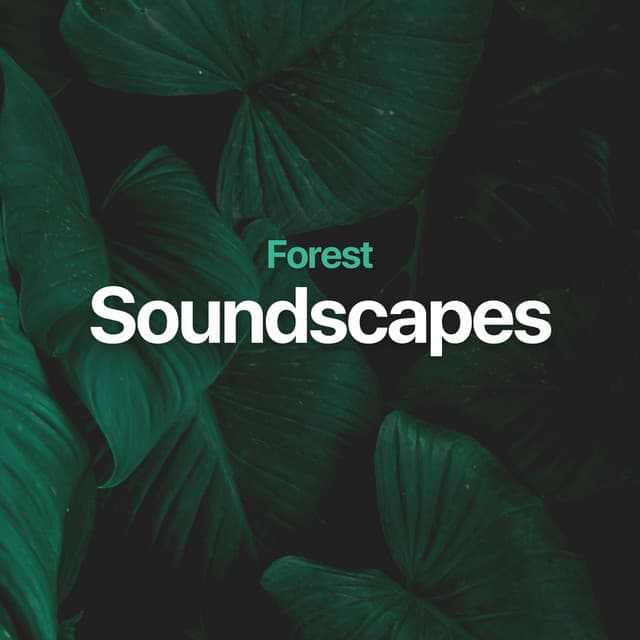 Forest Soundscapes - Mother Nature Sound FX