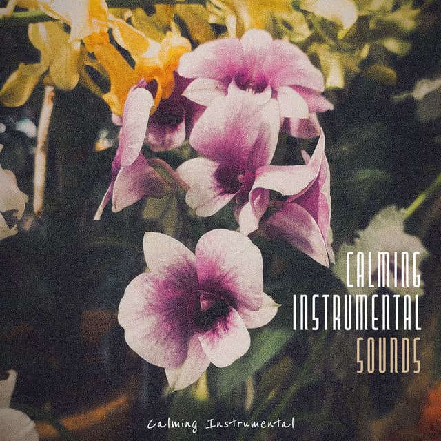 Calming Instrumental
