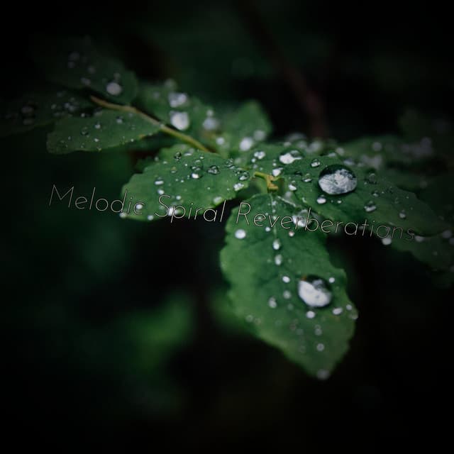 Melodic Spiral Reverberations - Woodland Friends