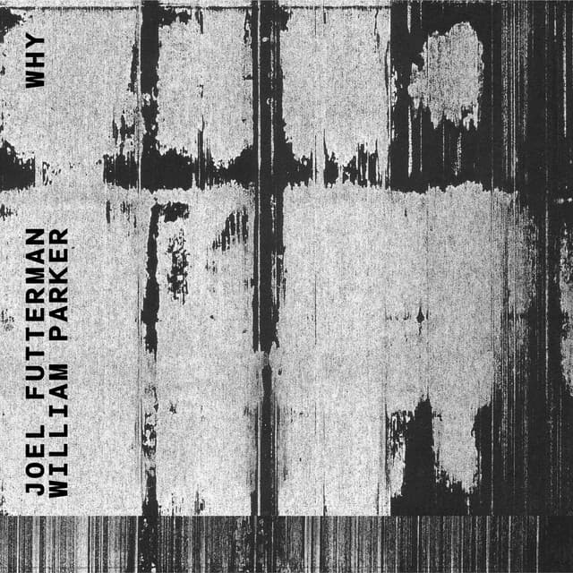 Why - Joel Futterman