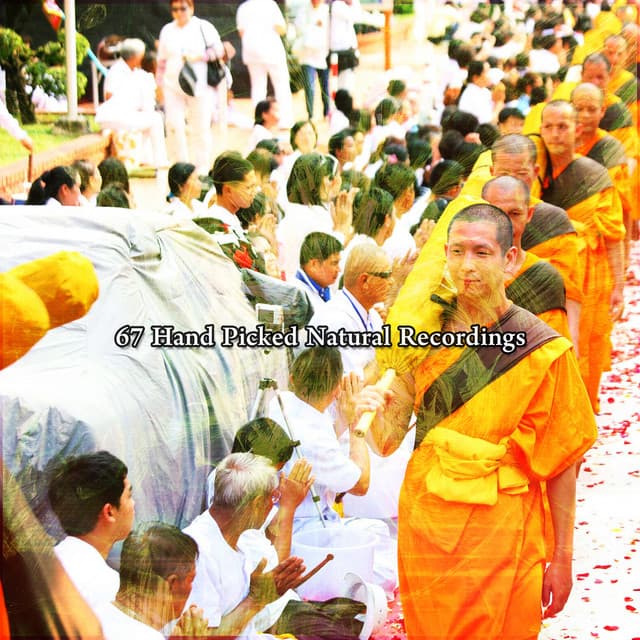 67 Hand Picked Natural Recordings - Meditation Focus