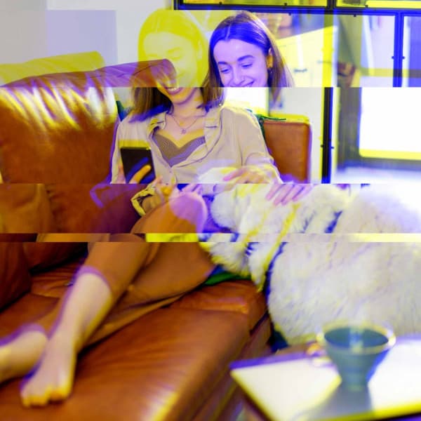 Chilled Background Music for Alert Doggy - Calma Música para Perros