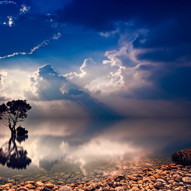 50 Ambient Waves: Sea of Stillness - Sea Waves Sounds