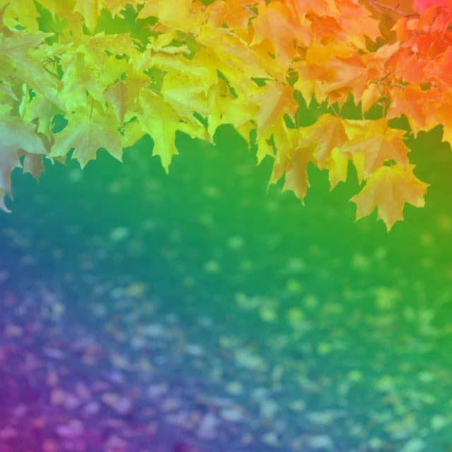 Piano Duo Jazz - Background Music for Jazzy Sounds - Happy Sunday Morning Music