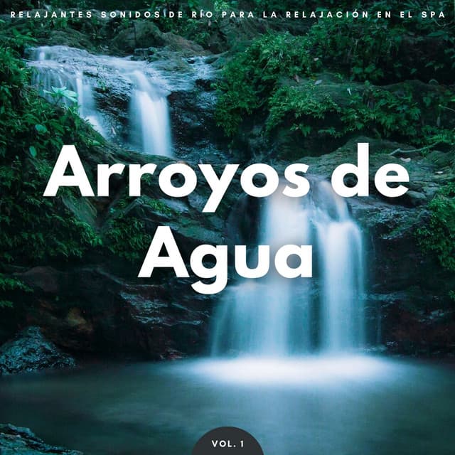 Arroyos De Agua: Relajantes Sonidos De Río Para La Relajación En El Spa Vol. 1 - Arroyos Ventosos