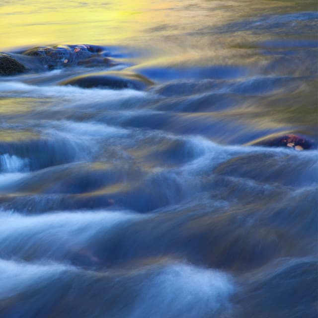 Aquatic Ambience: Water Melodies in Flowing Harmony - Japanese Garden