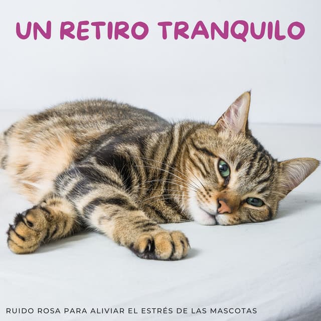 Un Retiro Tranquilo: Ruido Rosa Para Aliviar El Estrés De Las Mascotas - Ruido Perfecto