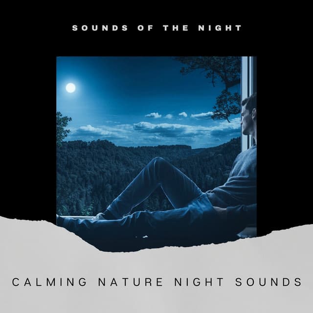 Calming Nature Night Sounds - Cricket Sounds