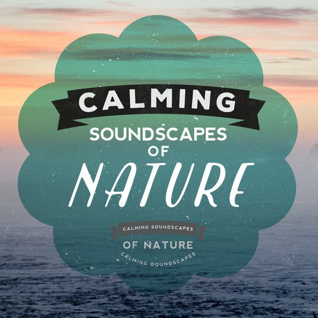 Calming Soundscapes of Nature - The Calming Sounds Of Nature