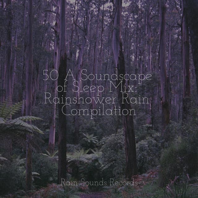 50 A Soundscape of Sleep Mix: Rainshower Rain Compilation - Pro Sound Effects Library