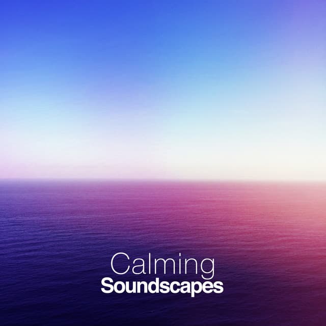 Calming Soundscapes - Sleepy Night Music