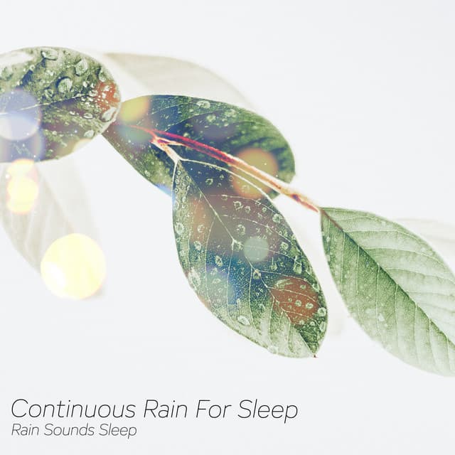 Continuous Rain For Sleep - Rain Sounds Sleep